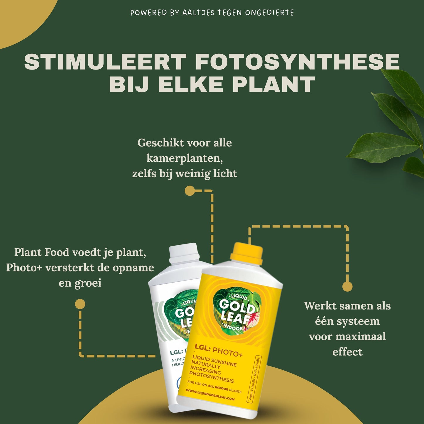 Liquid Gold Leaf Plant Food+ Liquid Gold Leaf Photo+ (2x 250ml)