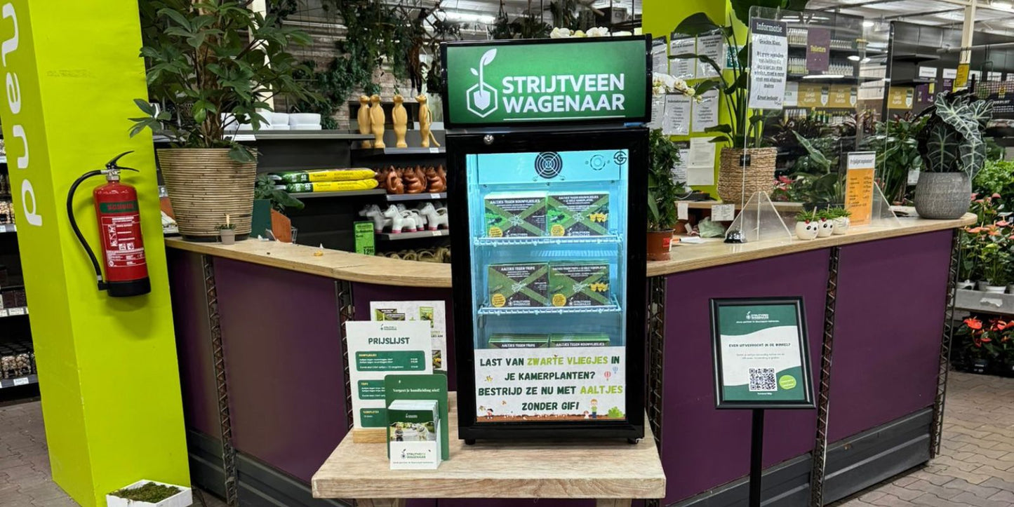 aaltjes in de winkel