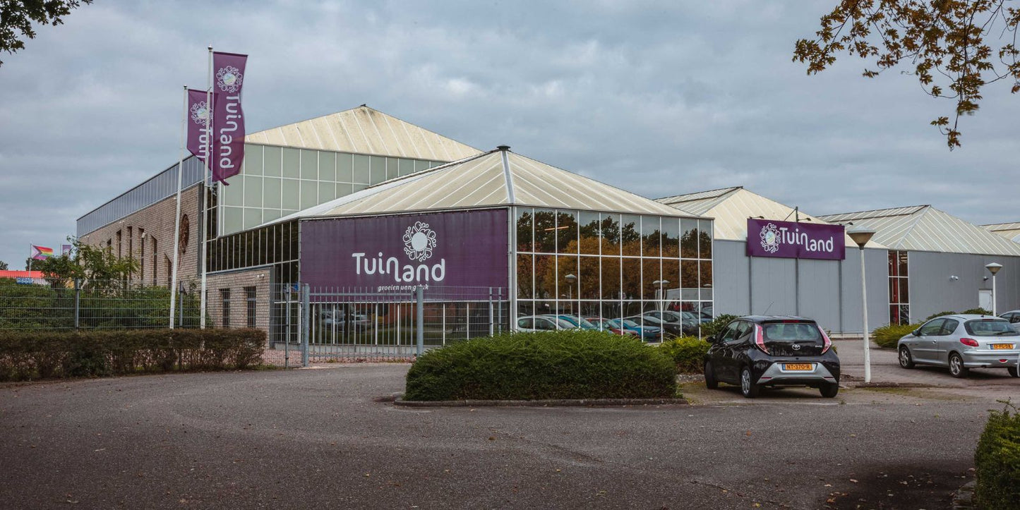 Aaltjes kopen bij Tuinland