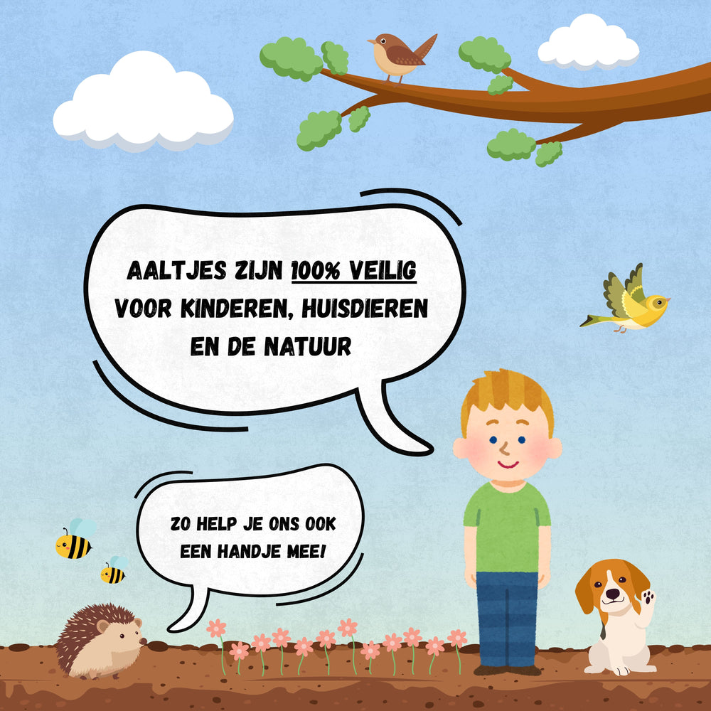 
                      
                        Nématodes contre les escargots
                      
                    