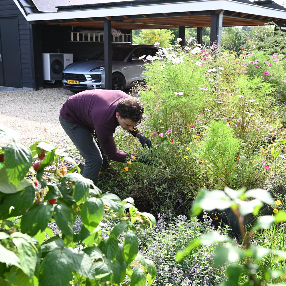
                      
                        Nématodes contre les escargots
                      
                    