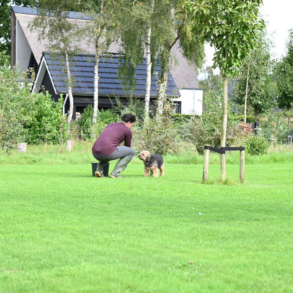 
                      
                        Nématodes contre les larves
                      
                    