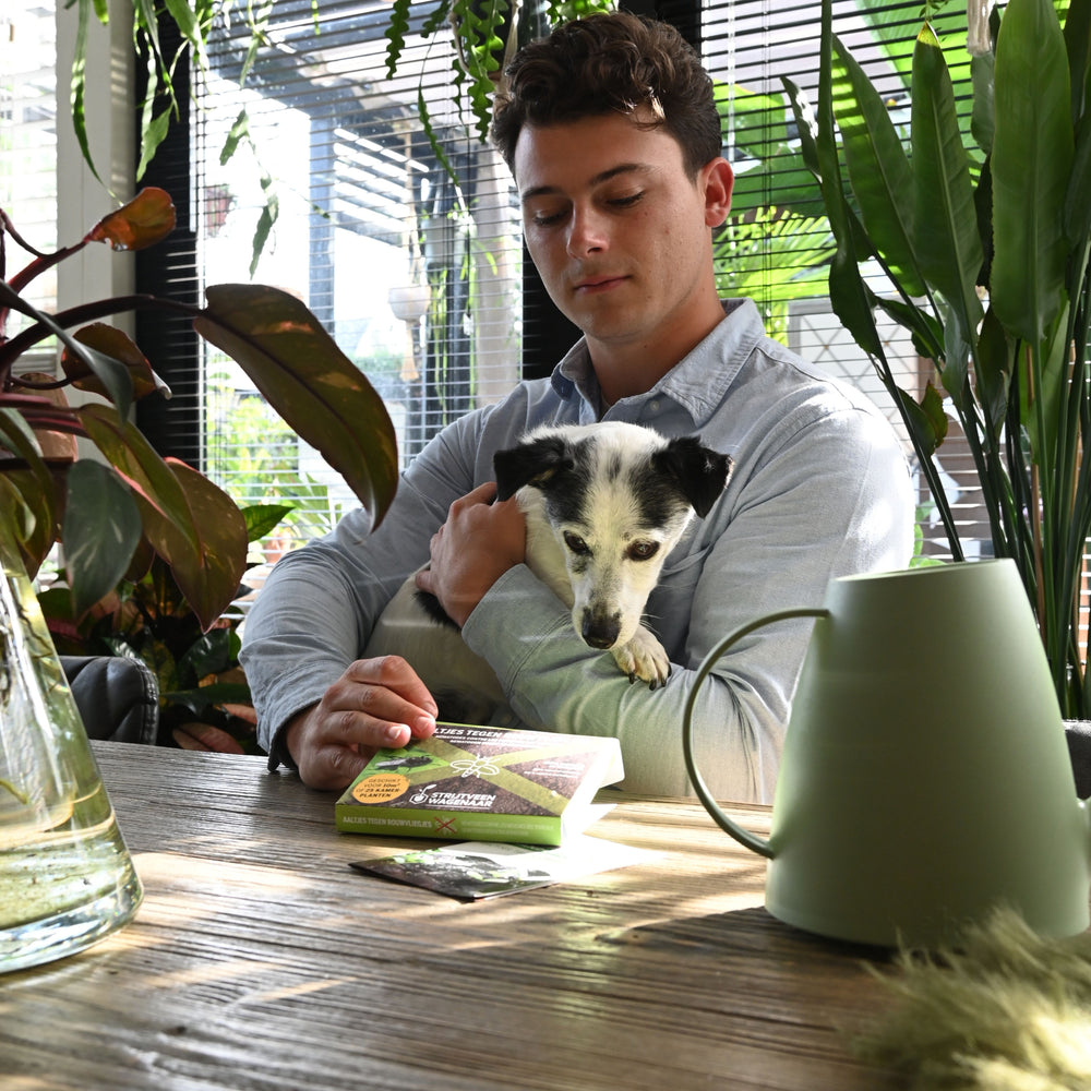 
                      
                        Nématodes contre les moucherons fongiques
                      
                    