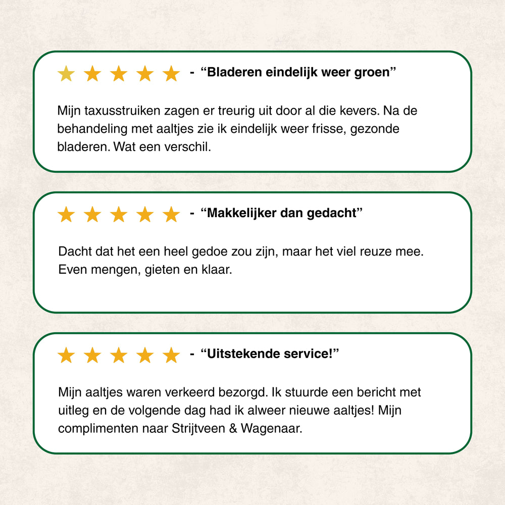 
                      
                        Nématodes contre le scolyte de l'if
                      
                    