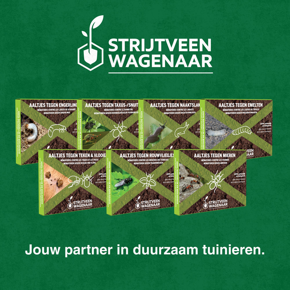 
                      
                        Nématodes contre les moucherons fongiques
                      
                    