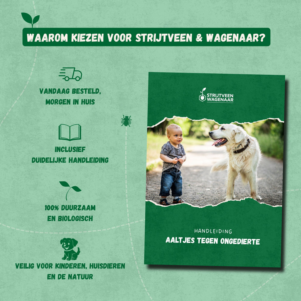 
                      
                        Nématodes contre les larves
                      
                    