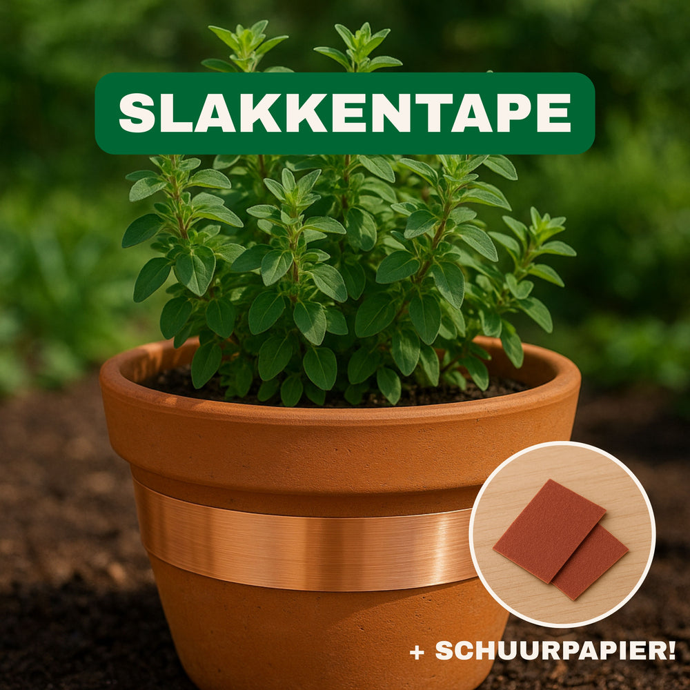 
                      
                        Slakkentape
                      
                    