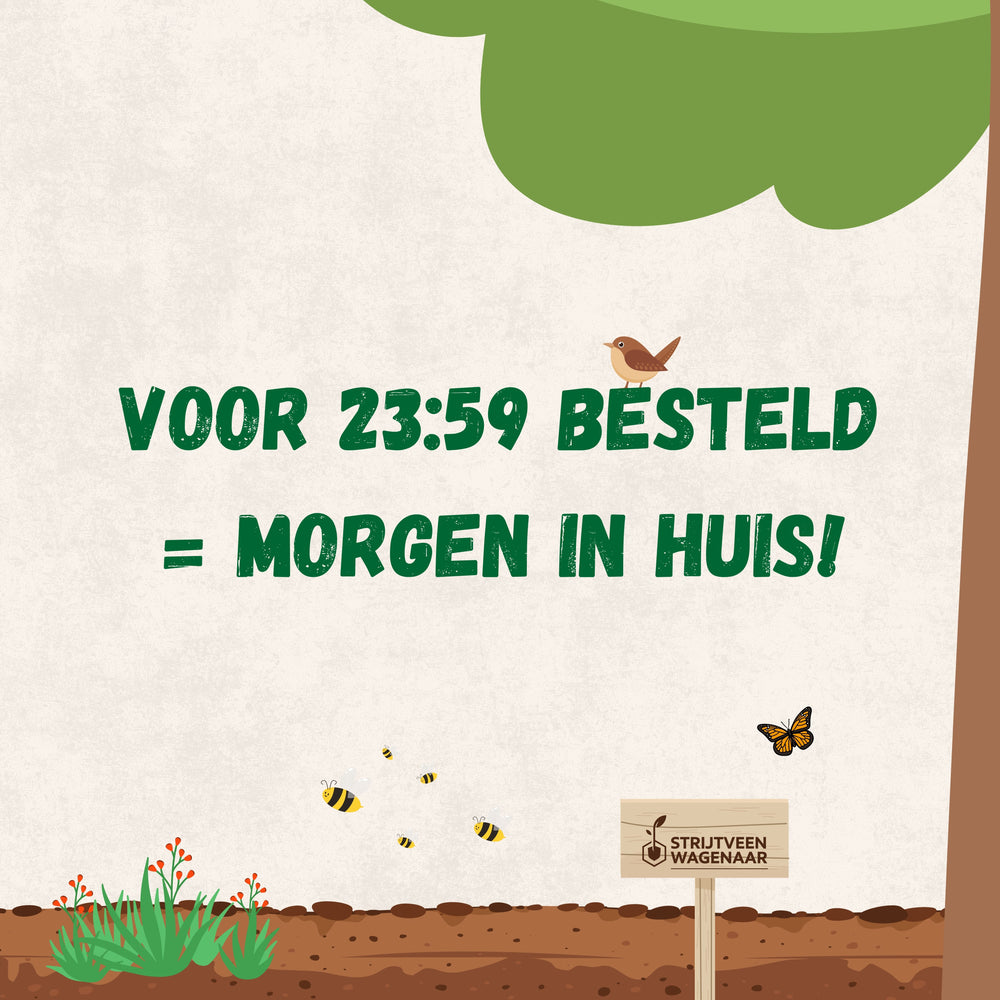 
                      
                        Nématodes contre les fourmis
                      
                    