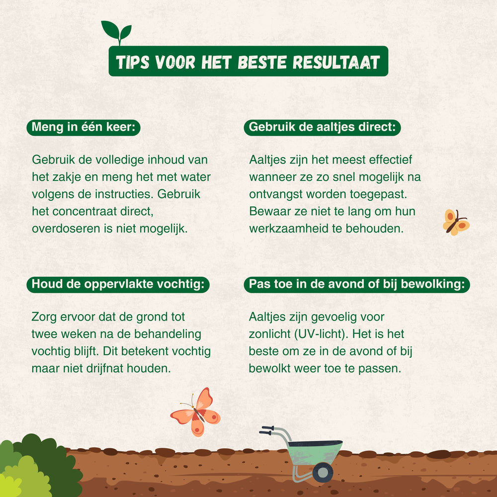 
                      
                        Nématodes contre les moucherons fongiques
                      
                    