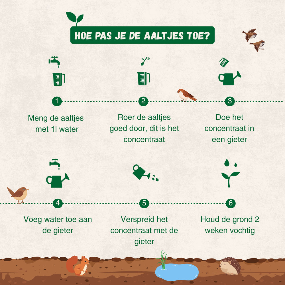 
                      
                        Nématodes contre le scolyte de l'if
                      
                    