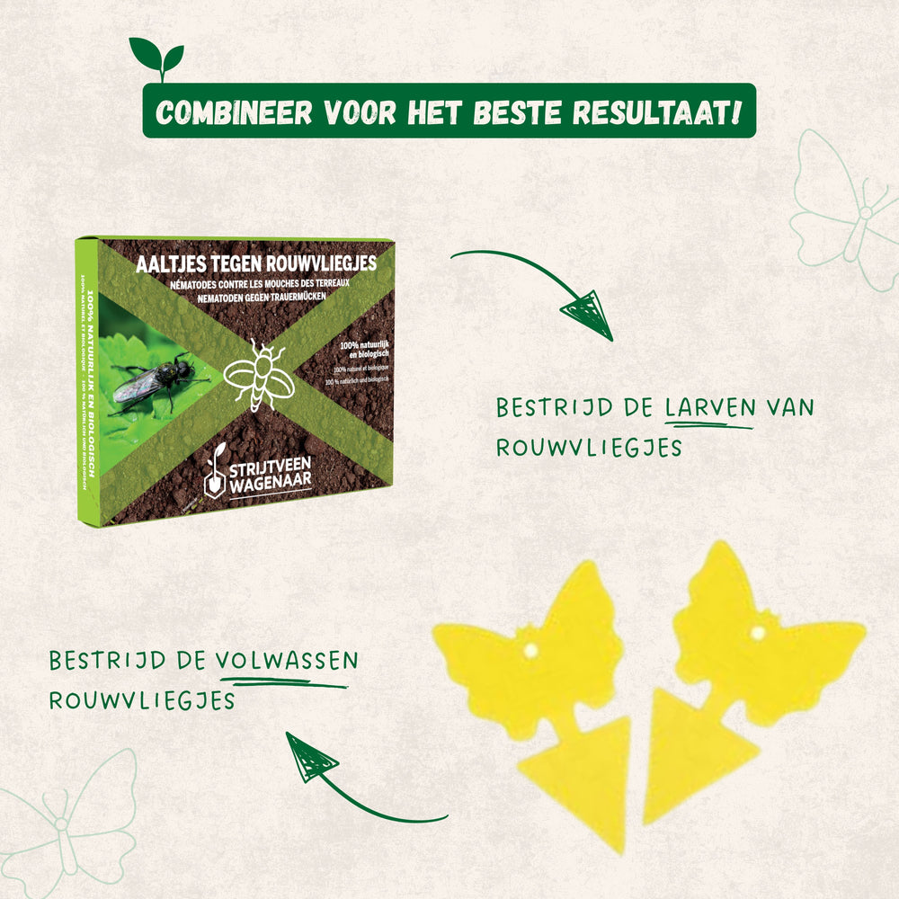 
                      
                        Nématodes contre les moucherons fongiques
                      
                    