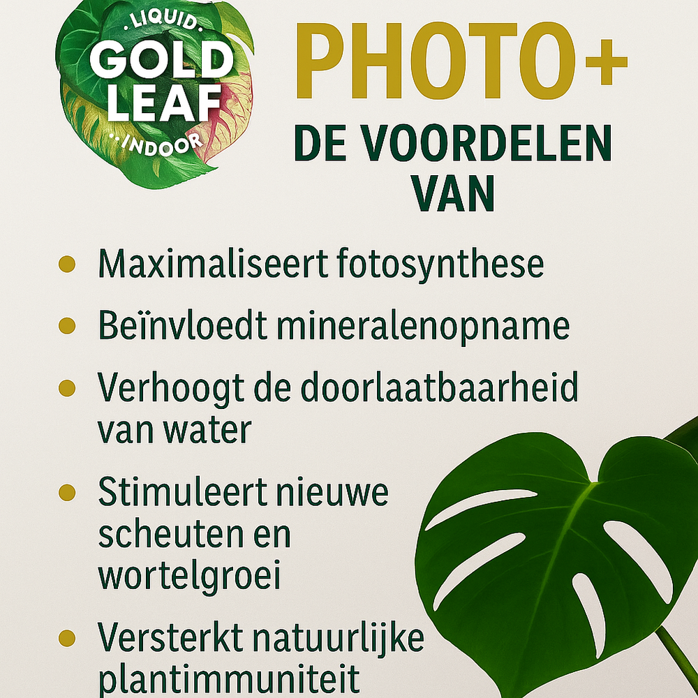 
                      
                        Liquid Gold Leaf Photo+ 250ml
                      
                    