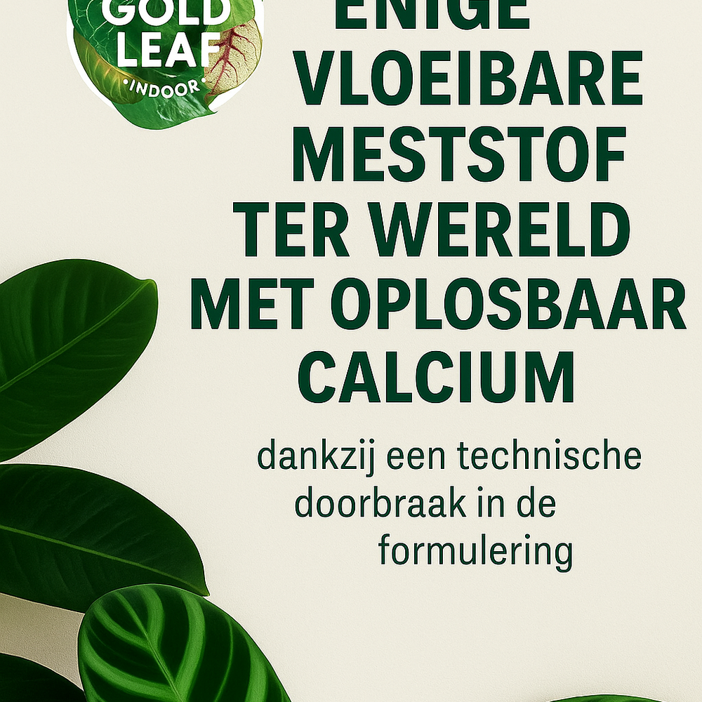 
                      
                        Liquid Gold Leaf Plant Food
                      
                    