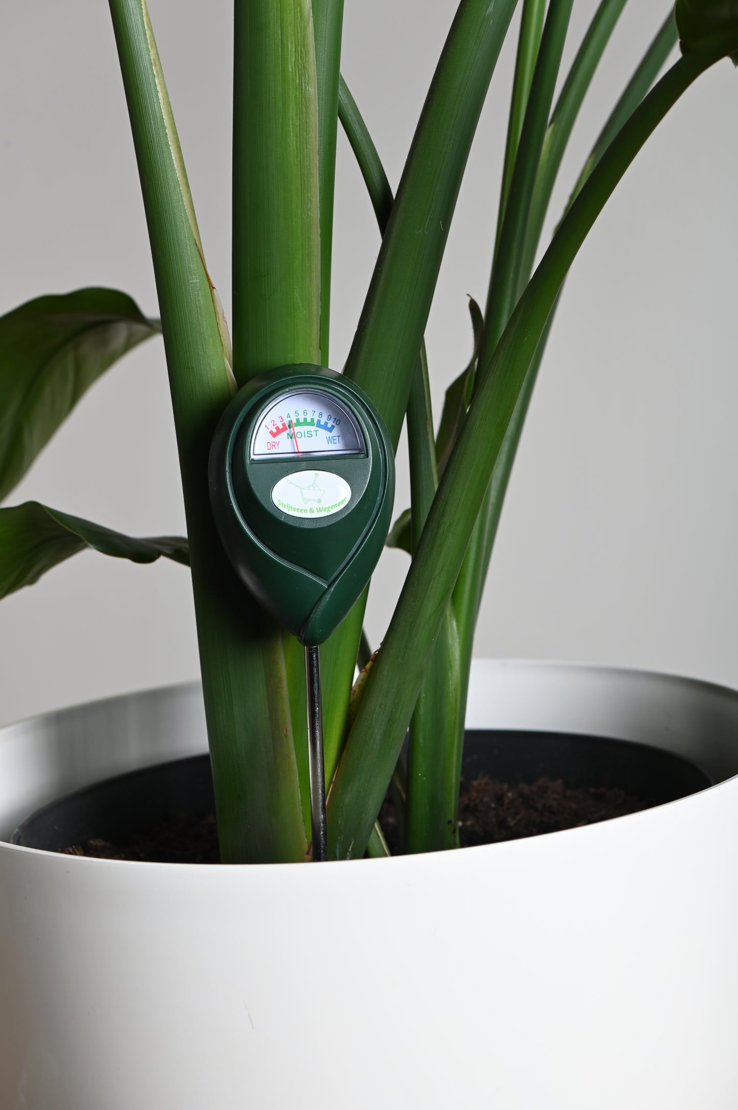 hygrometer met  kamerplant