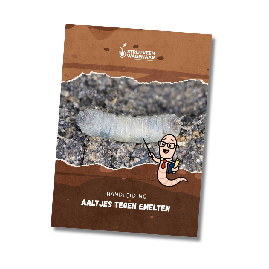 Emelten