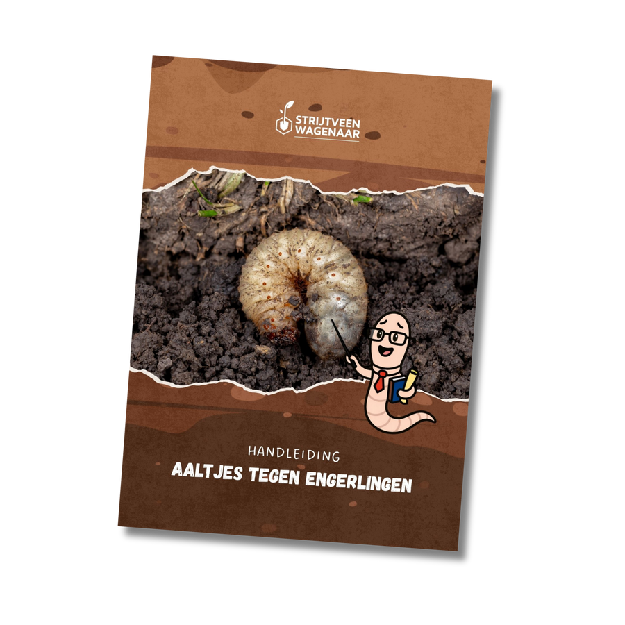 Engerlingen