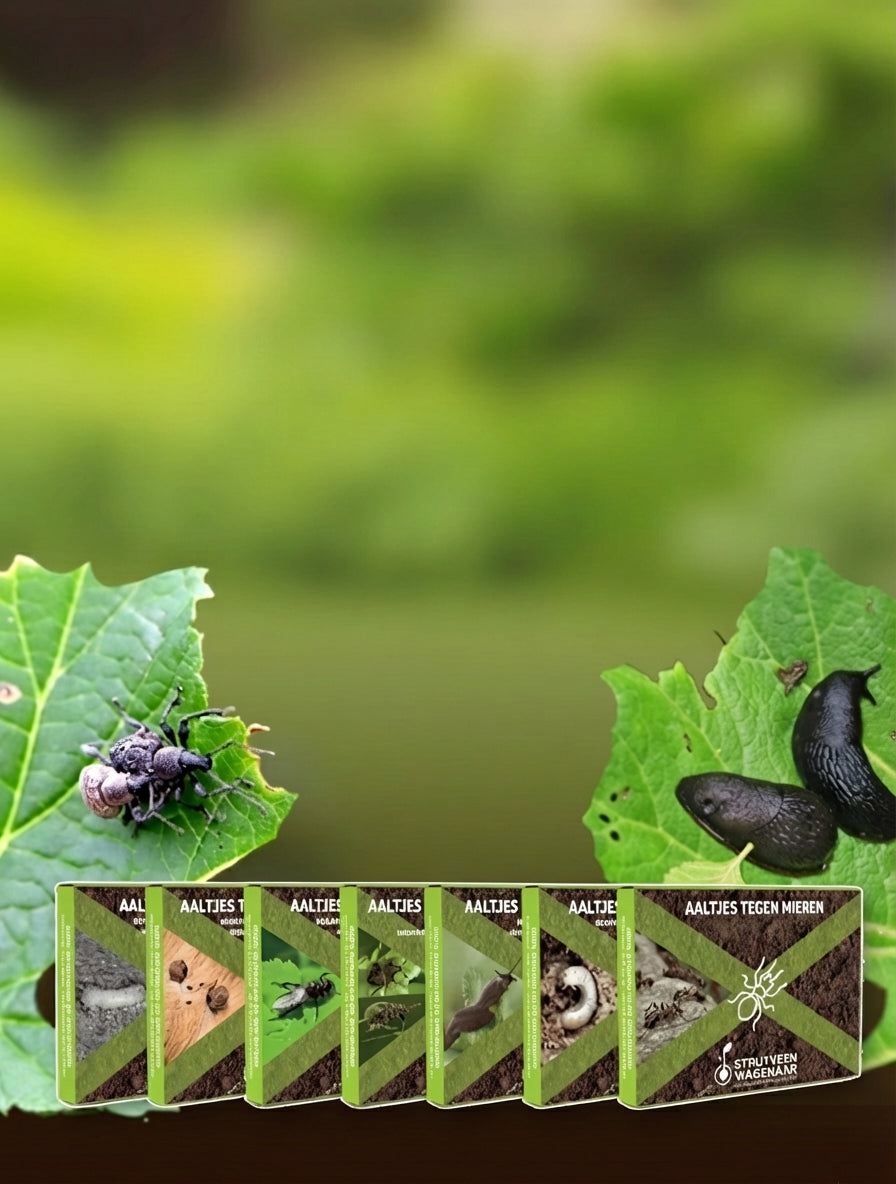 Aaltjes Tegen Ongedierte