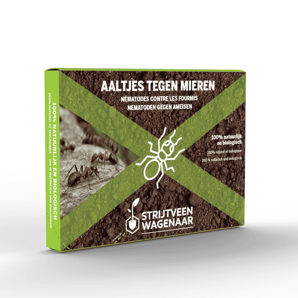 Aaltjes tegen Mieren