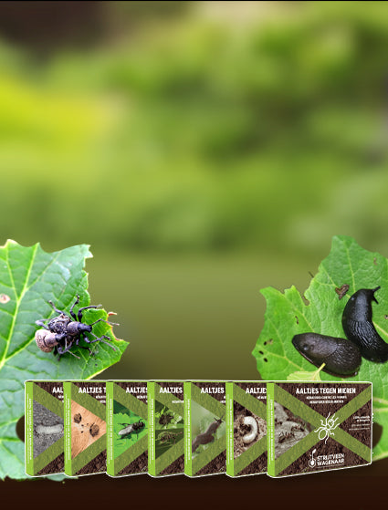 Aaltjes Tegen Ongedierte